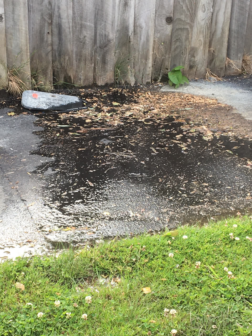 The photograph attached to this water supply report