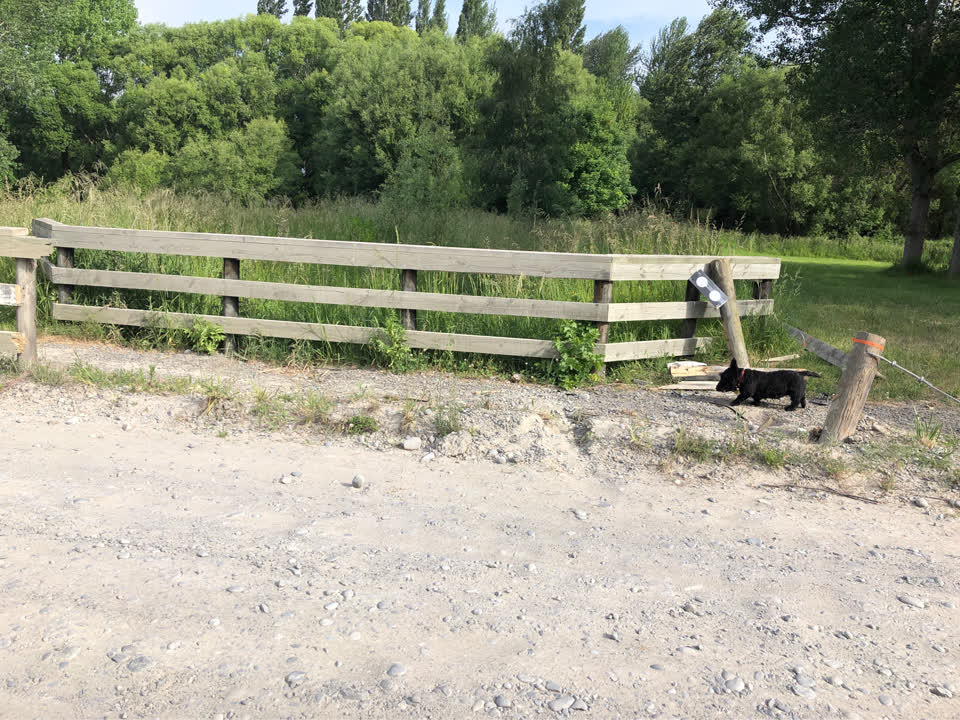The photograph attached to this parks report