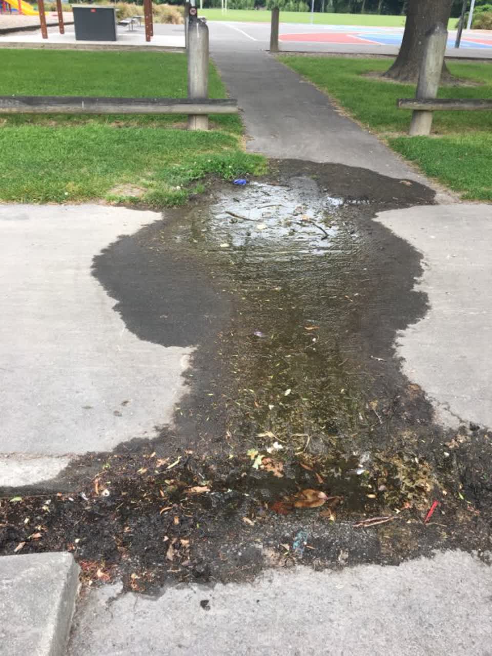 The photograph attached to this flooding report
