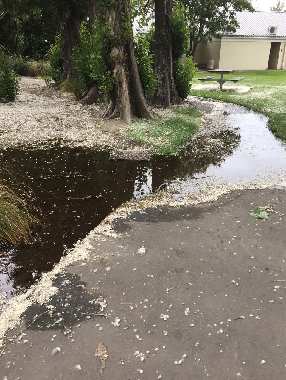 The photograph attached to this flooding report