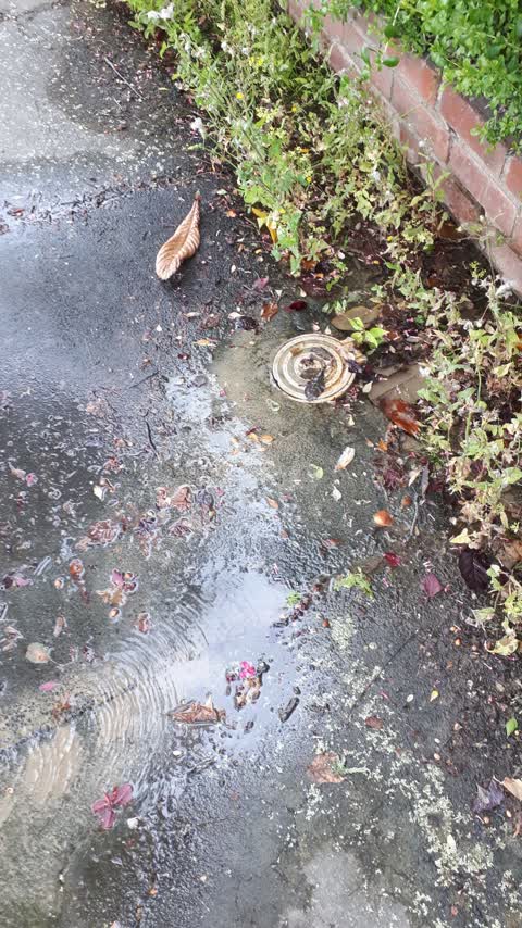 Water Supply, a report photo