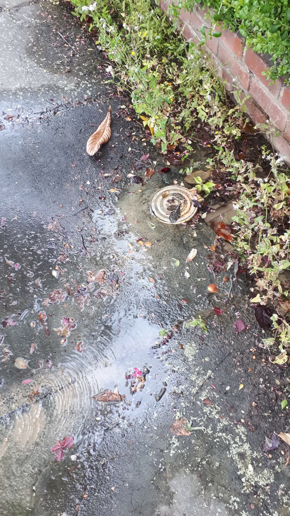 The photograph attached to this water supply report
