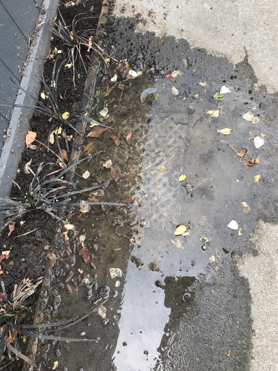 The photograph attached to this water supply report
