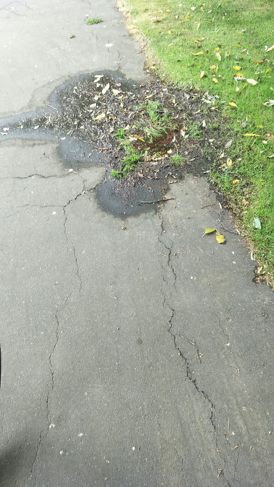 The photograph attached to this water supply report