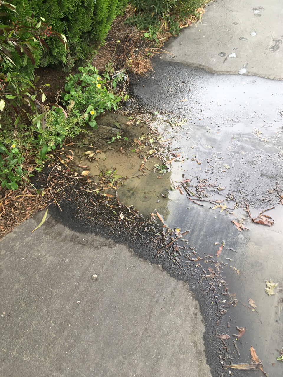 The photograph attached to this water supply report