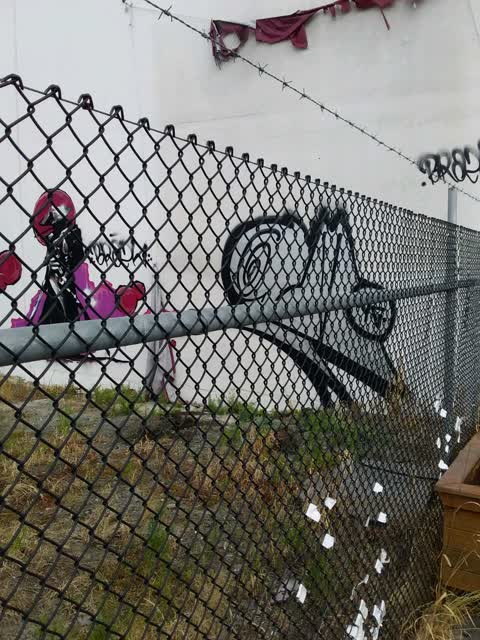Graffiti, a report photo
