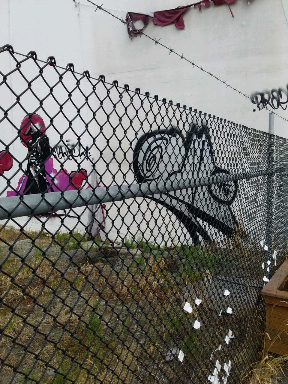 The photograph attached to this graffiti report