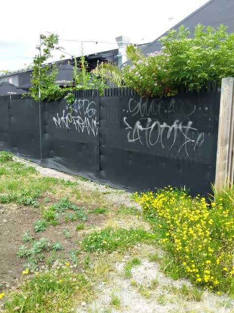 Graffiti, a report photo