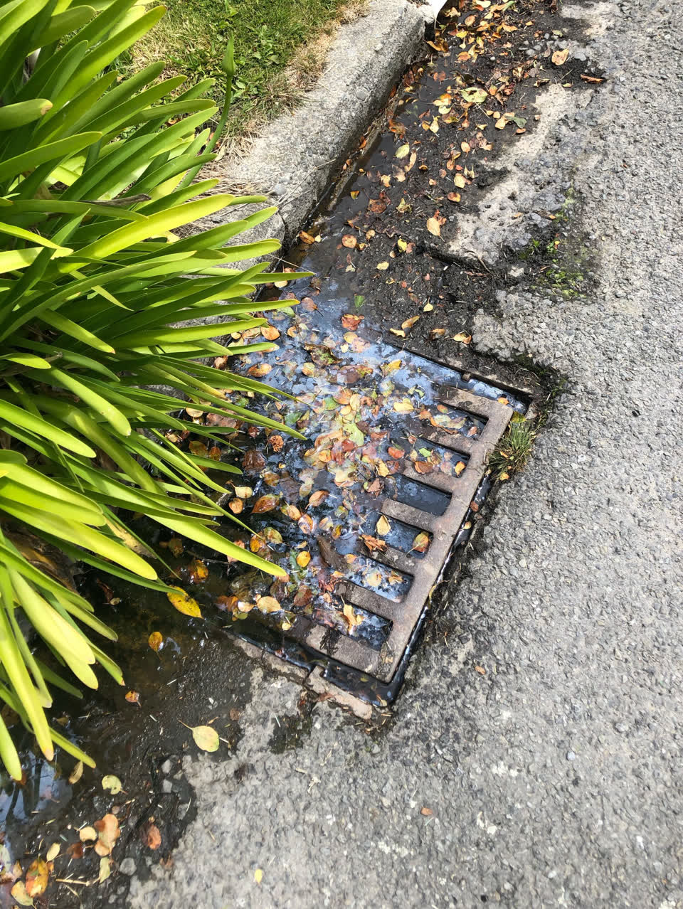 The photograph attached to this wastewater/stormwater report