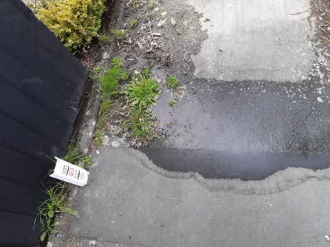 Water Supply, a report photo