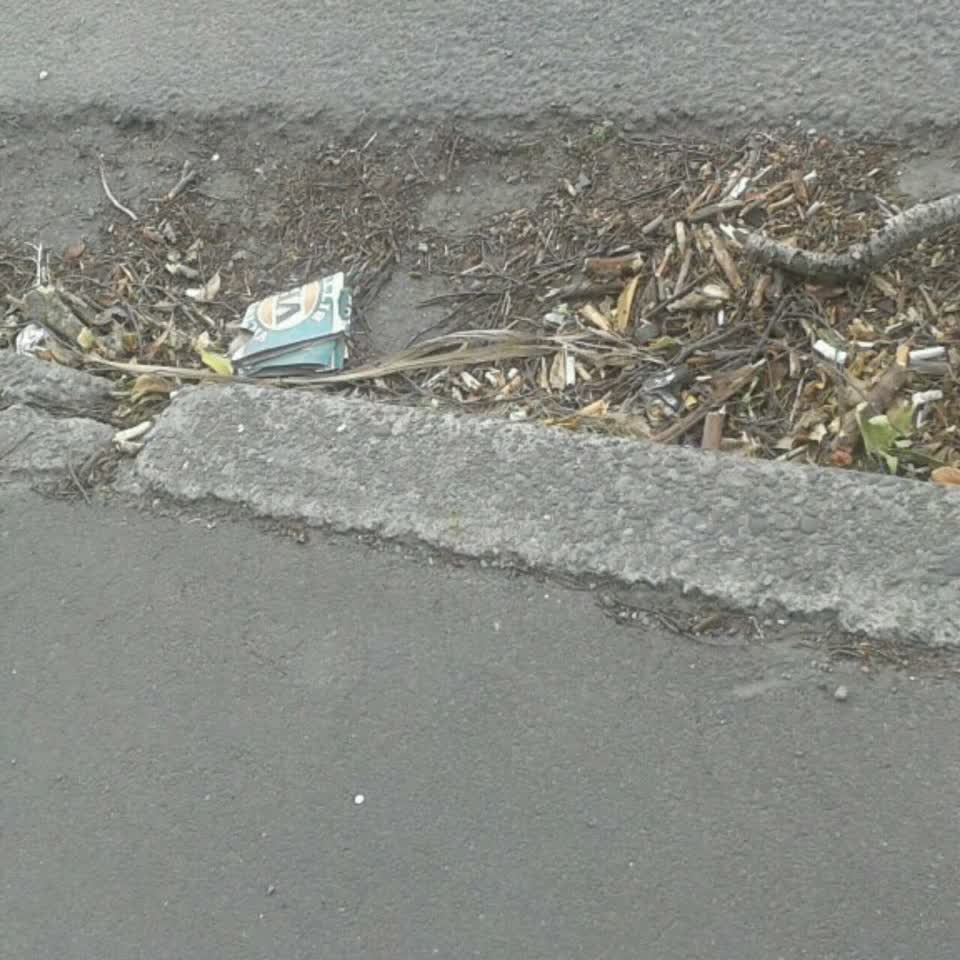 The photograph attached to this wastewater/stormwater report