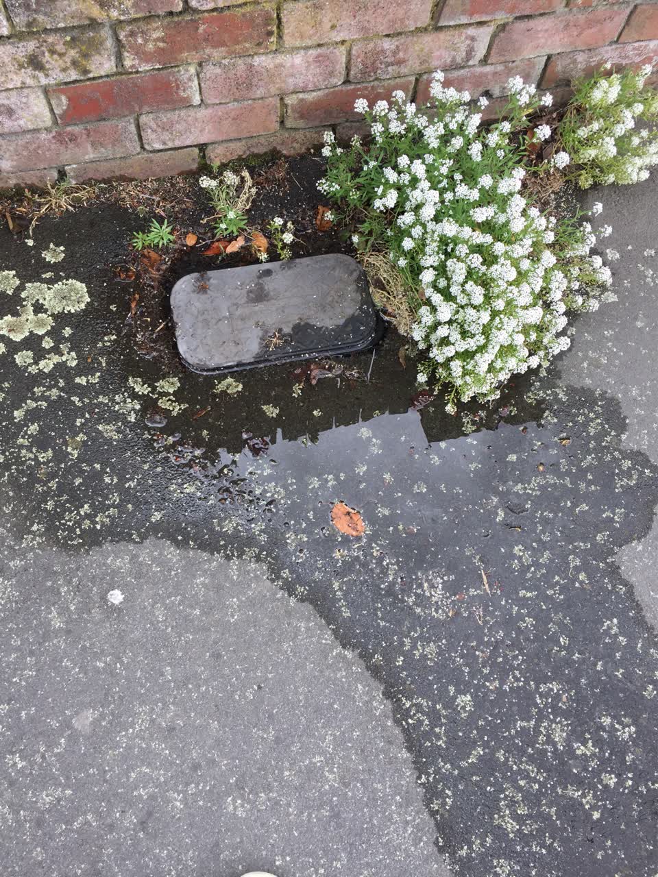 The photograph attached to this water supply report
