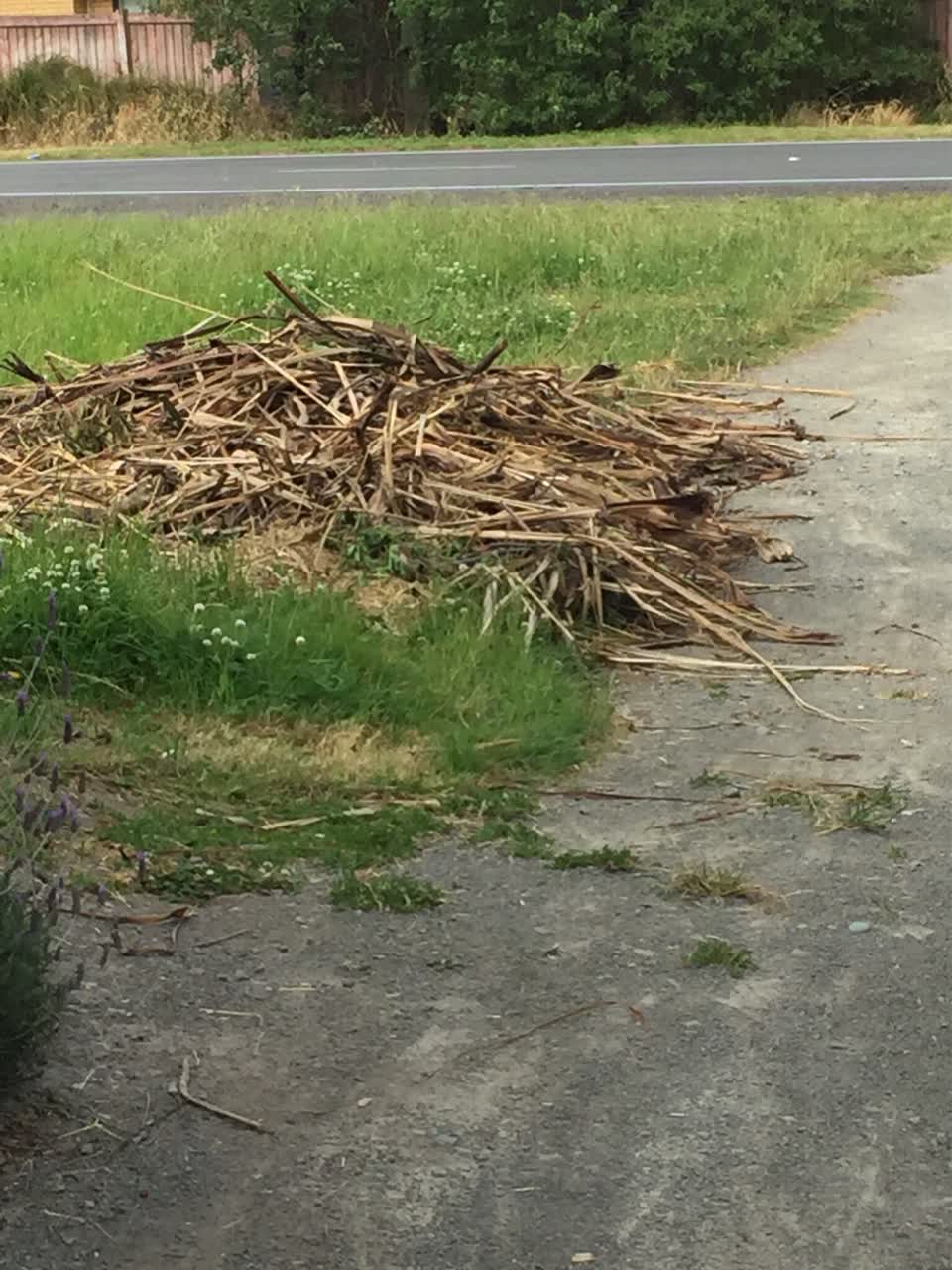 The photograph attached to this parks report