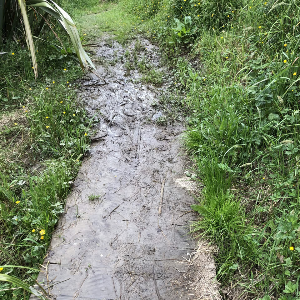 The photograph attached to this wastewater/stormwater report