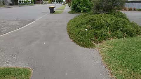 Roading/Streets, a report photo