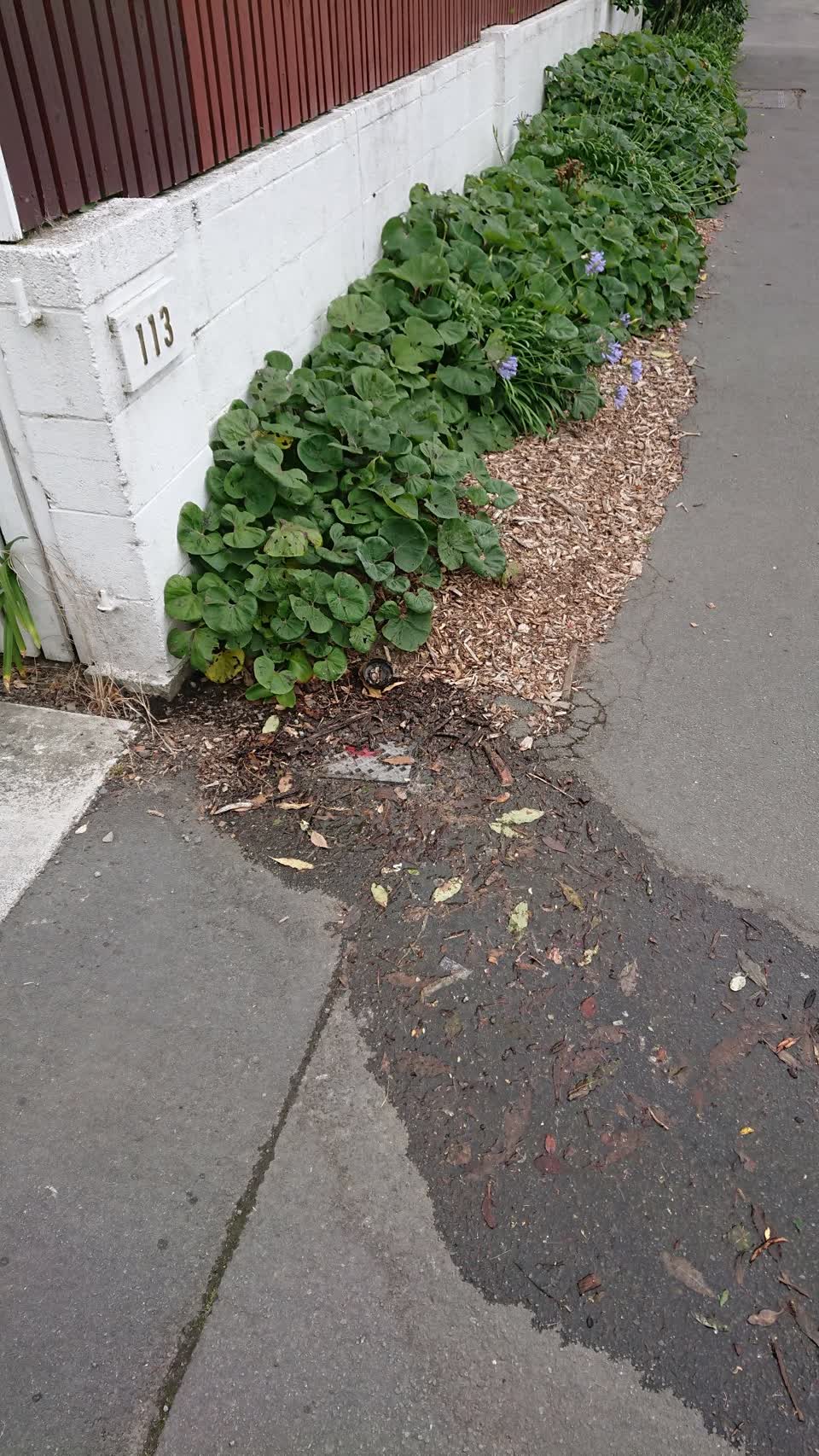 The photograph attached to this water supply report