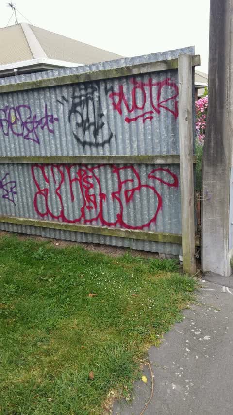 Graffiti, a report photo