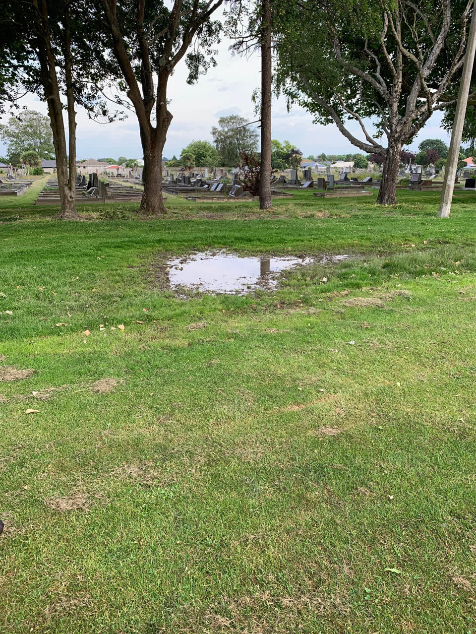 The photograph attached to this parks report