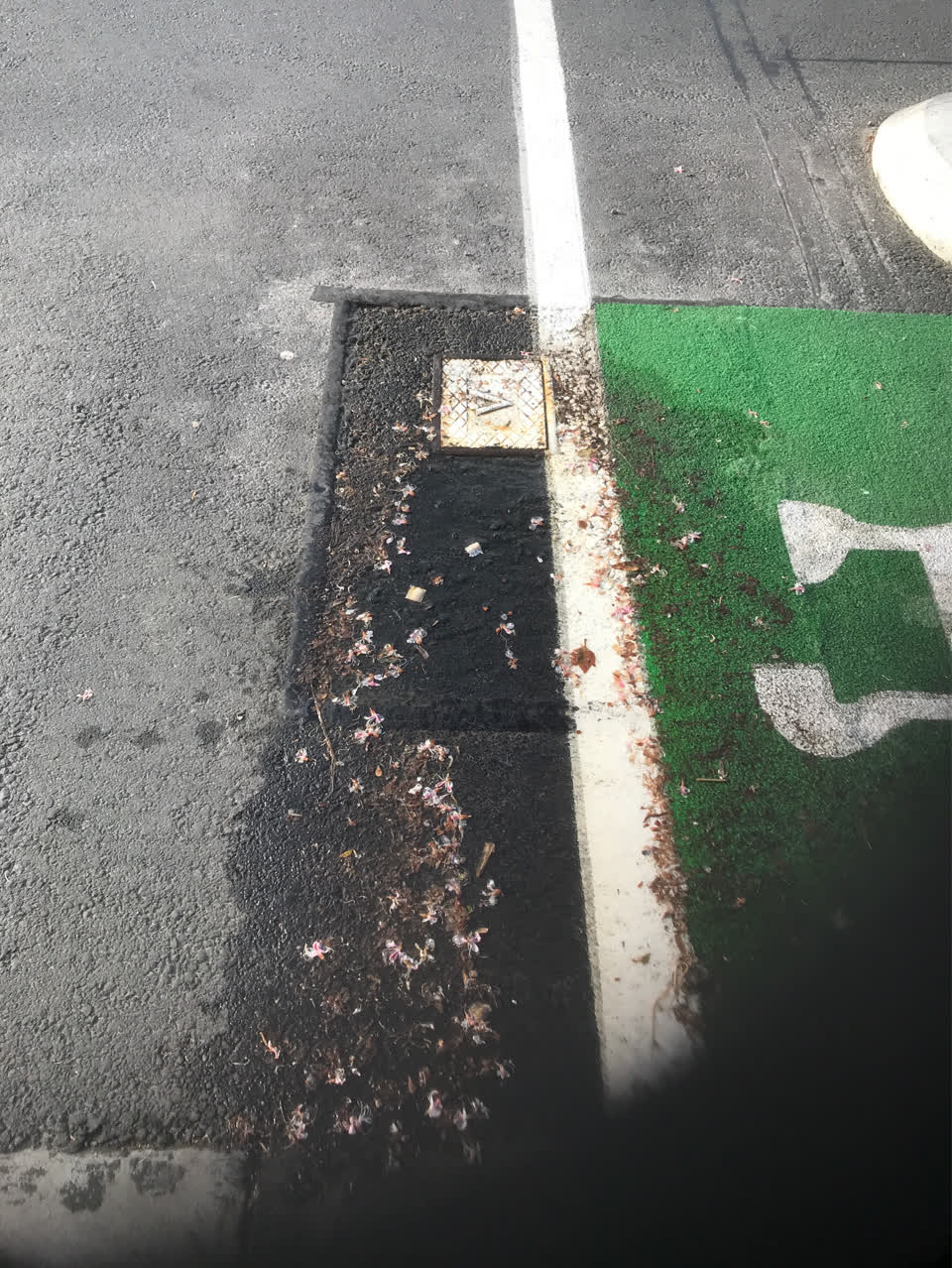 The photograph attached to this water supply report