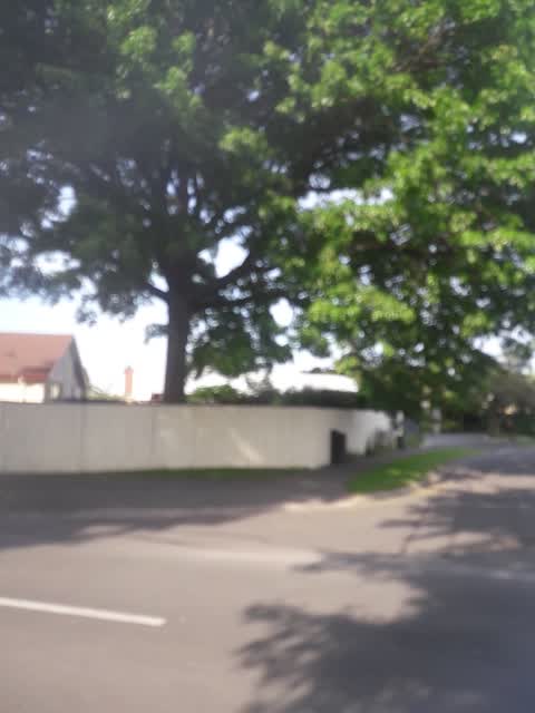 Parks, a report photo