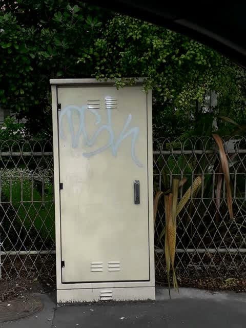 Graffiti, a report photo