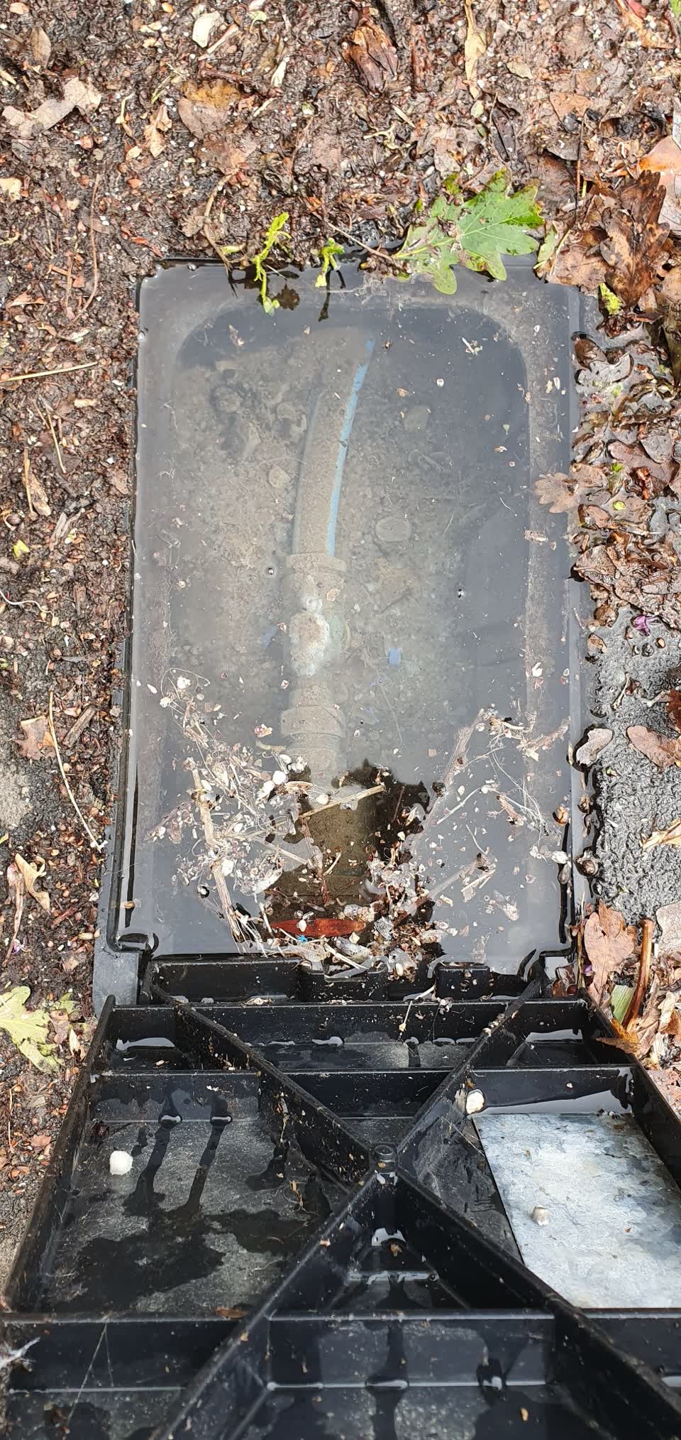 The photograph attached to this water supply report