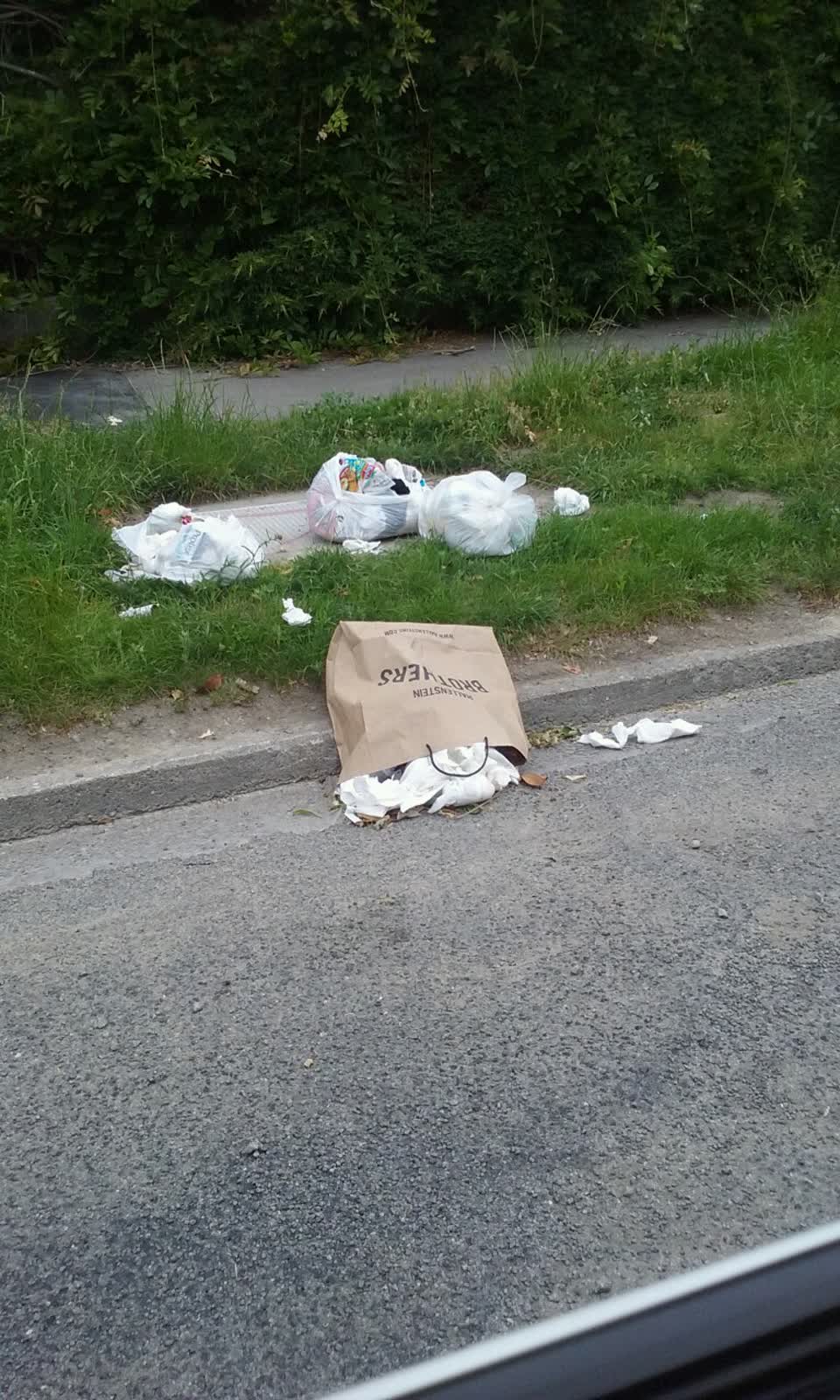 The photograph attached to this rubbish/recycling report