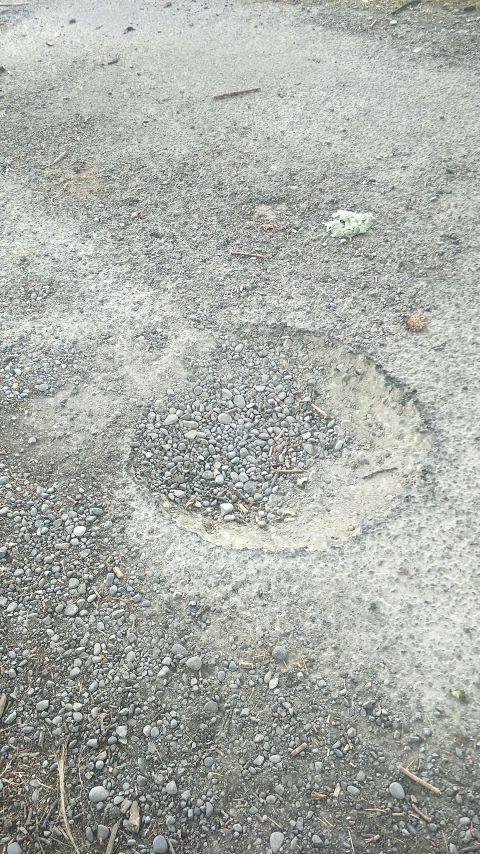 The photograph attached to this parks report