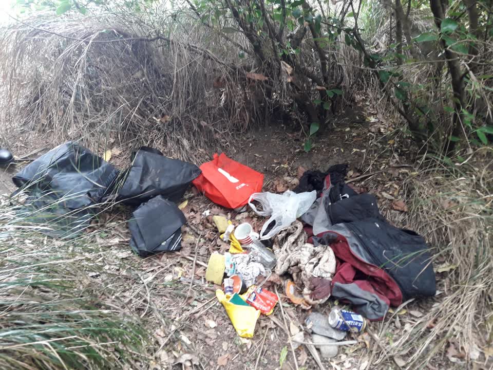 The photograph attached to this parks report