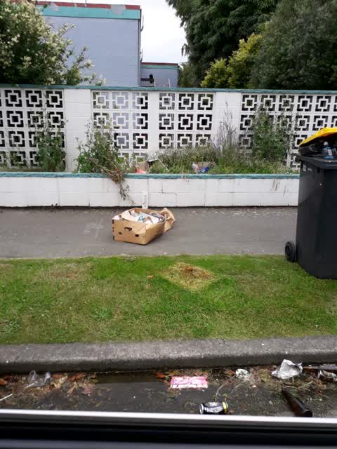 Rubbish/Recycling — a report photo