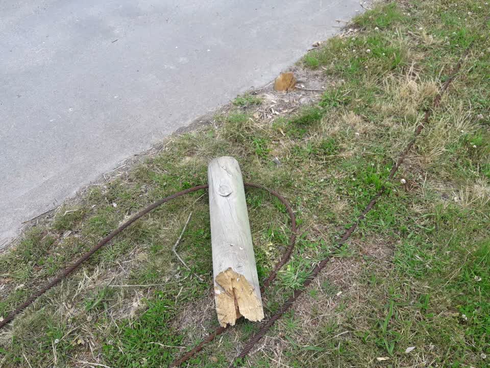 The photograph attached to this parks report