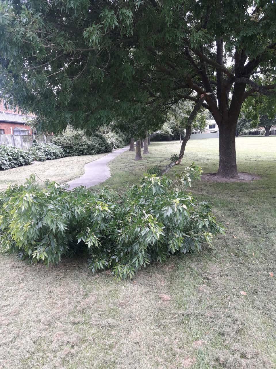 The photograph attached to this parks report
