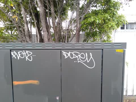 Graffiti, a report photo