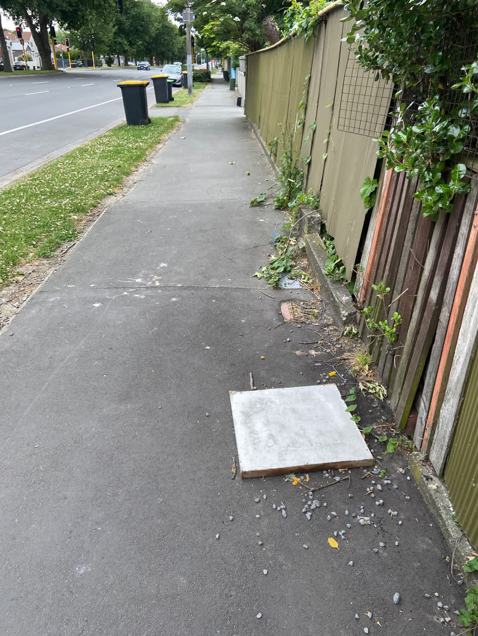 The photograph attached to this rubbish/recycling report