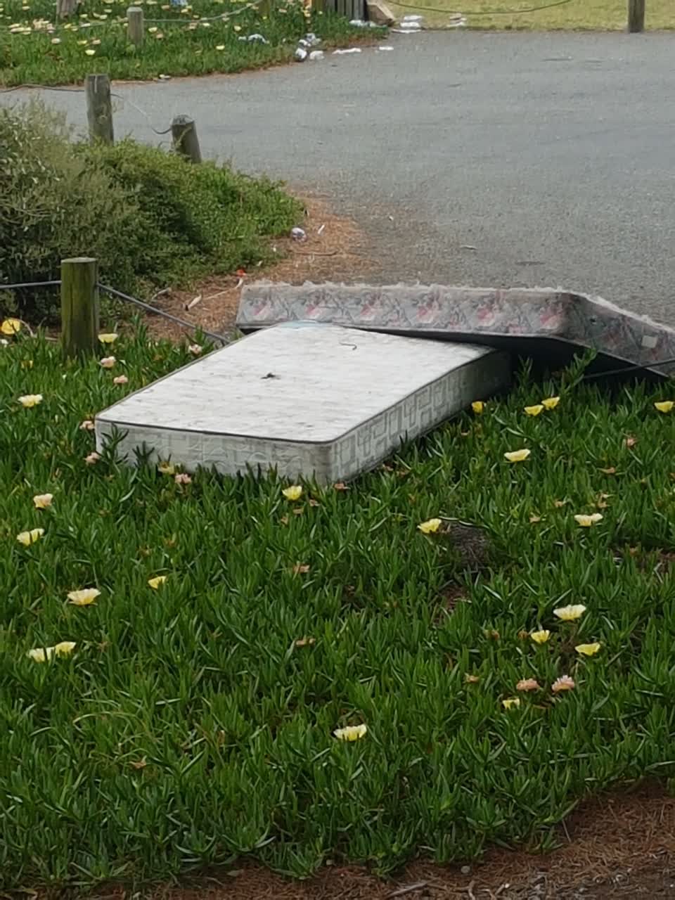 The photograph attached to this parks report
