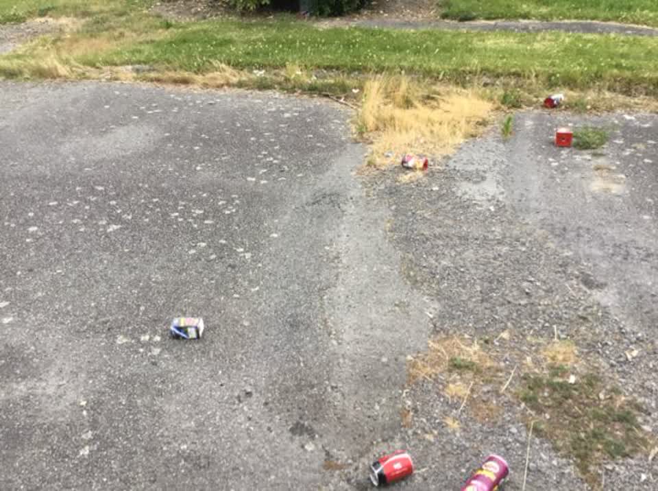 The photograph attached to this rubbish/recycling report