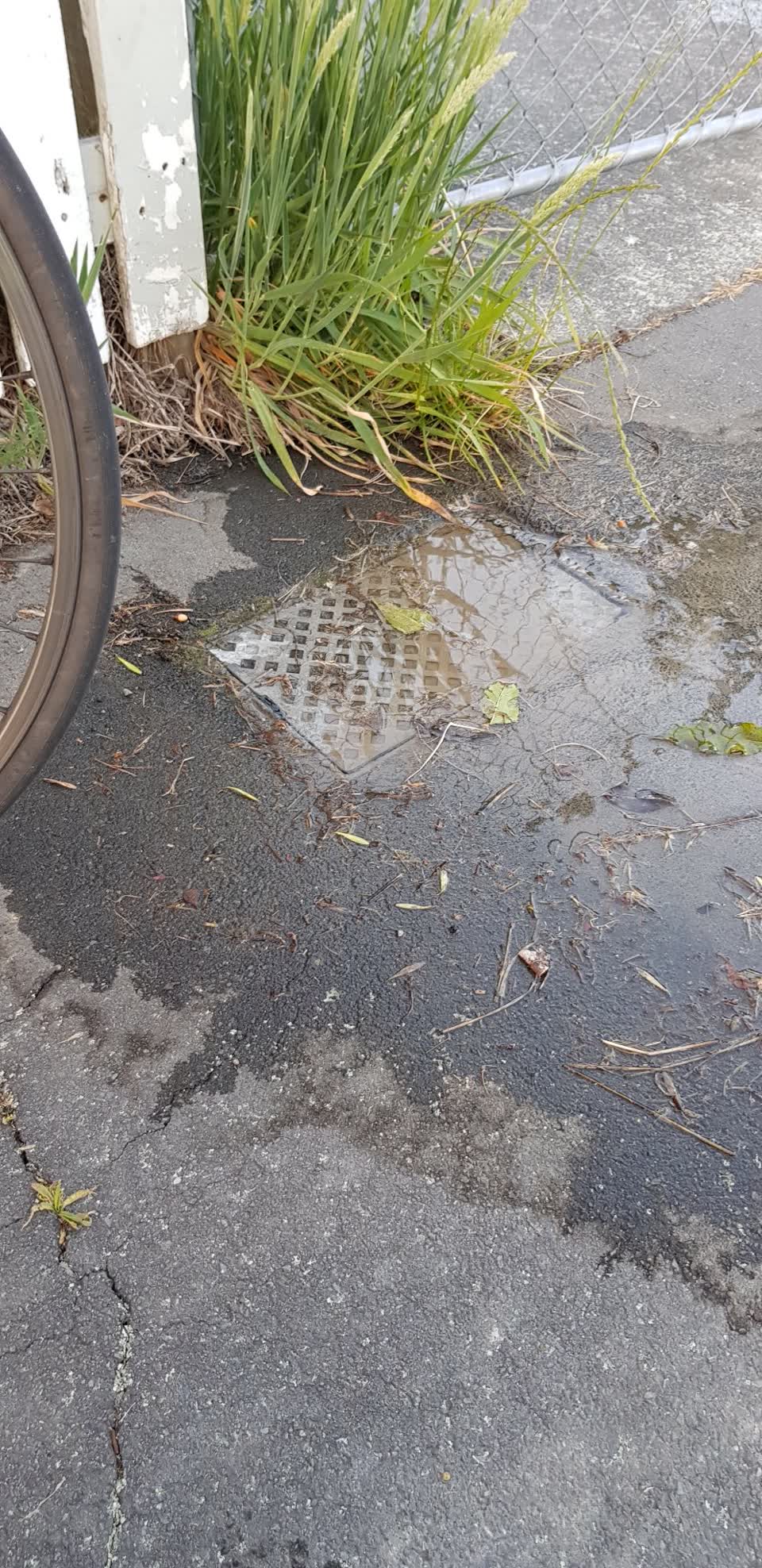 The photograph attached to this water supply report