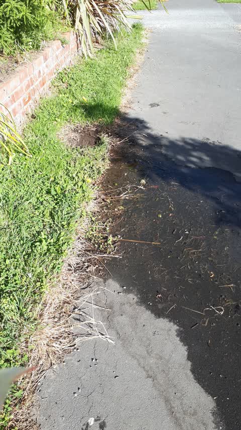 Water Supply, a report photo