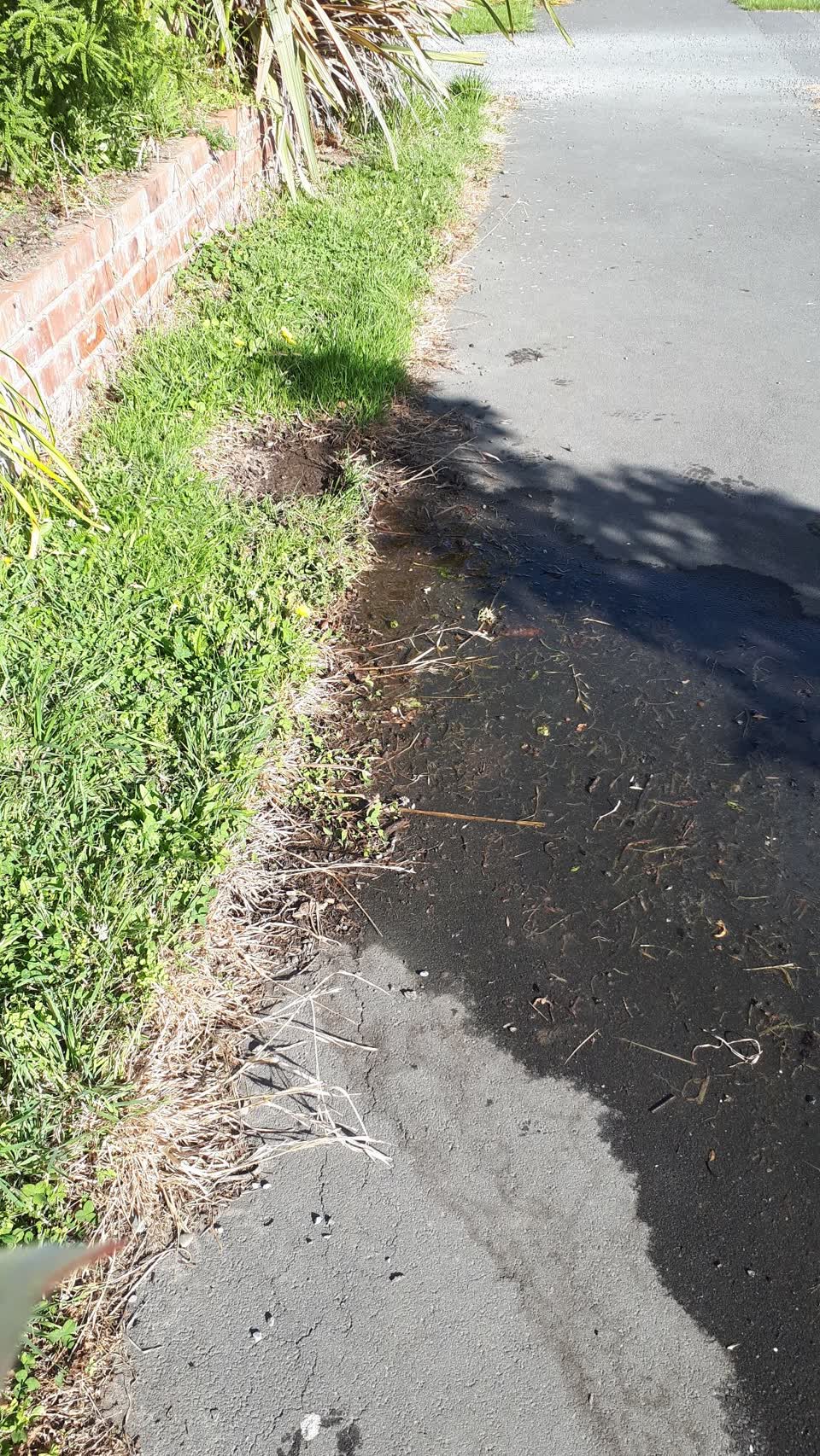 The photograph attached to this water supply report
