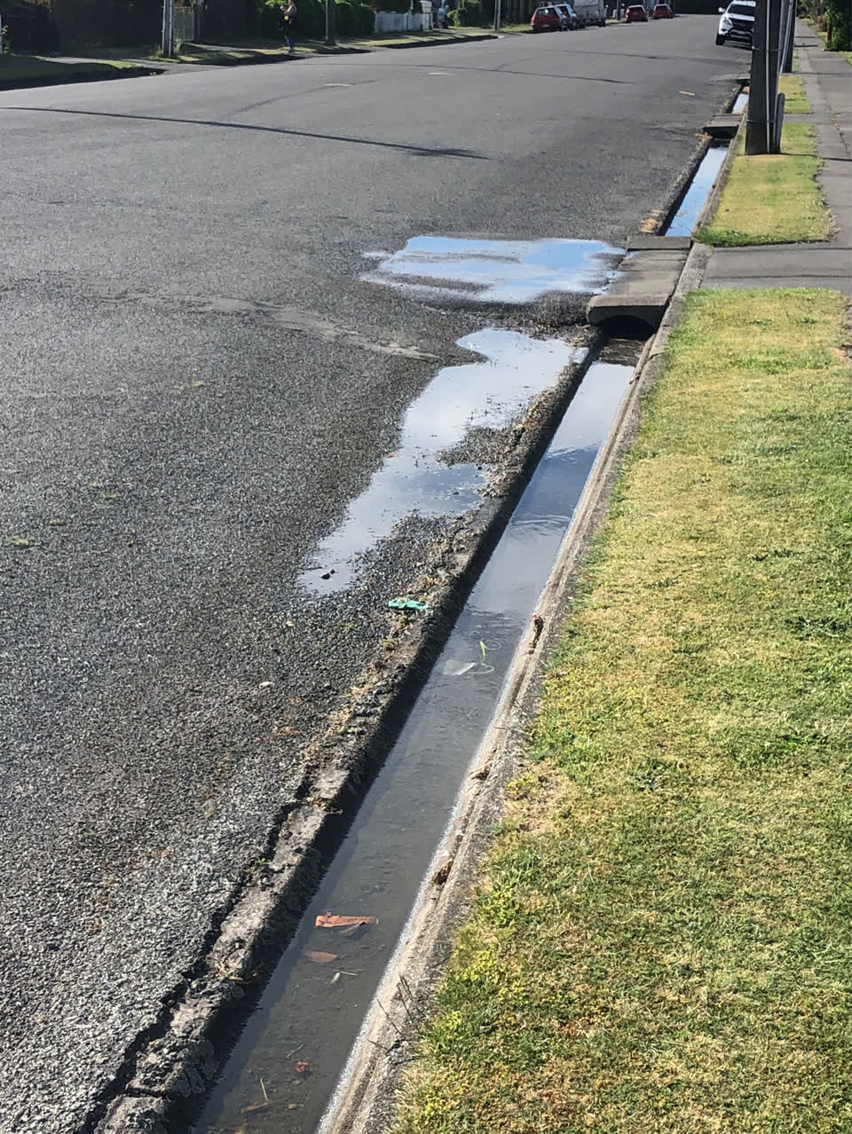 The photograph attached to this water supply report