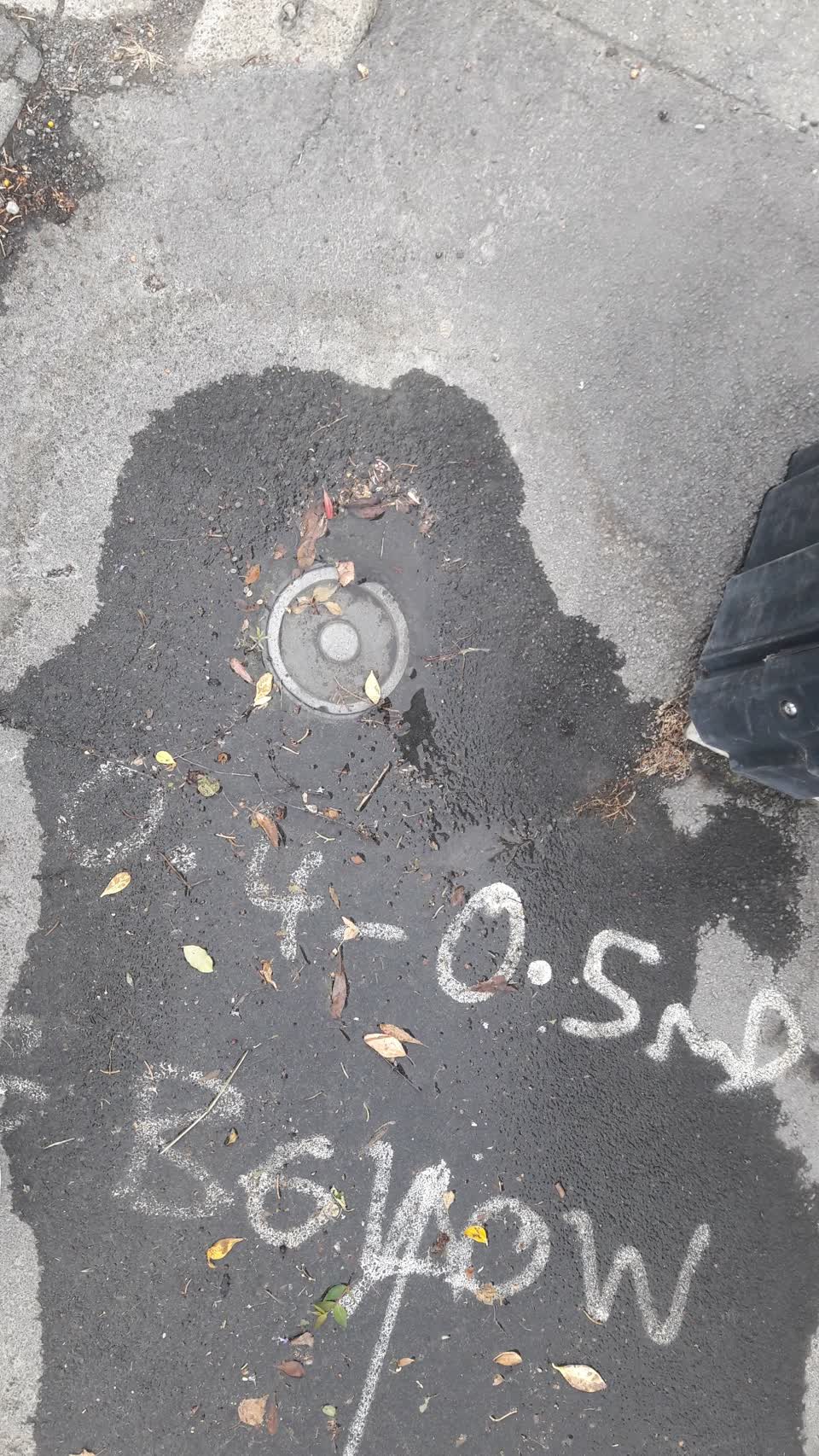 The photograph attached to this water supply report