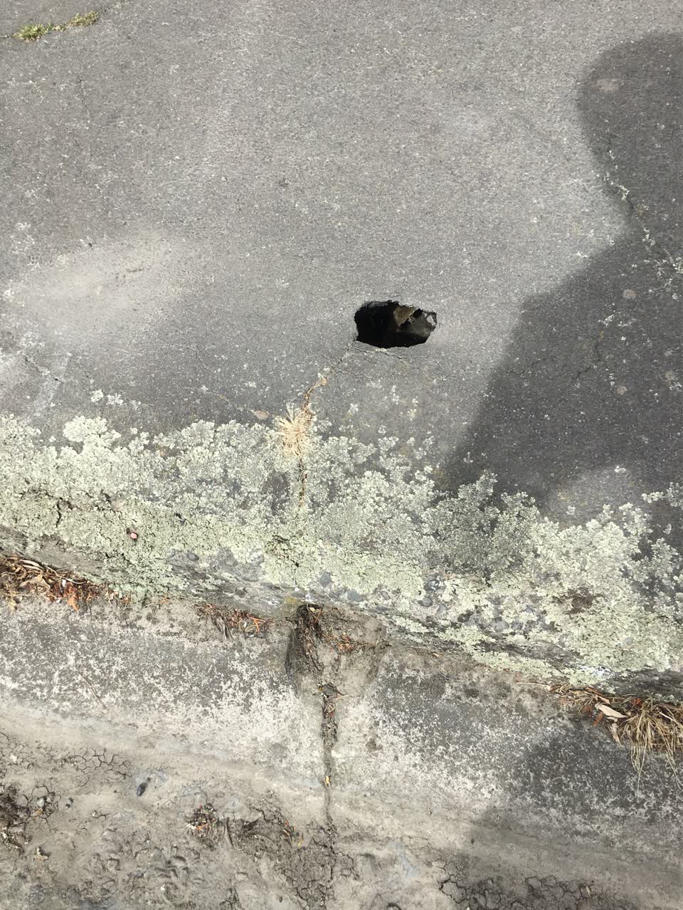 The photograph attached to this roading/streets report