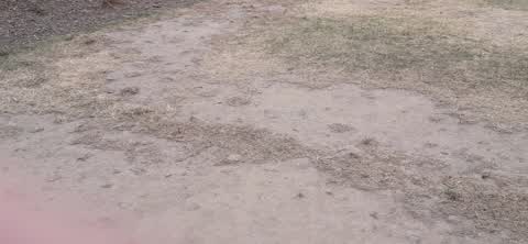 Parks, a report photo
