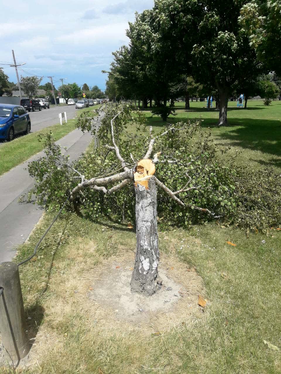 The photograph attached to this parks report
