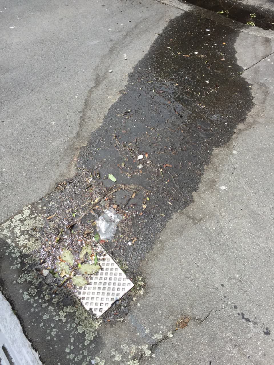 The photograph attached to this water supply report