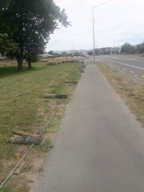 Parks, a report photo