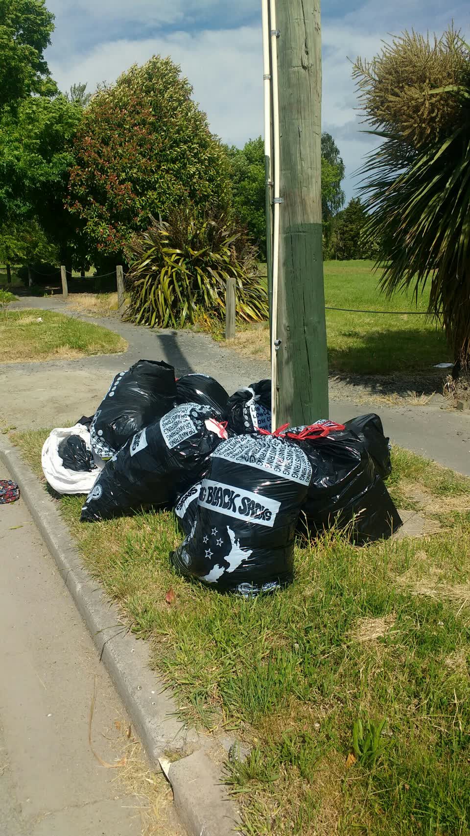 The photograph attached to this rubbish/recycling report