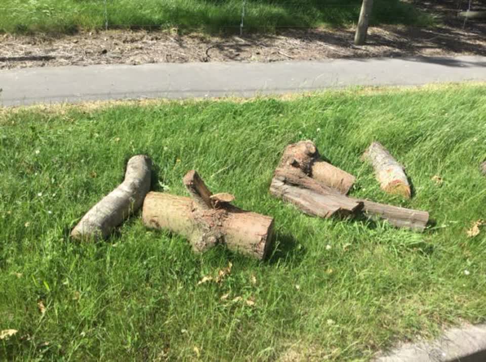 The photograph attached to this rubbish/recycling report
