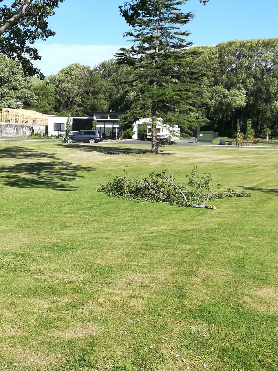 The photograph attached to this parks report