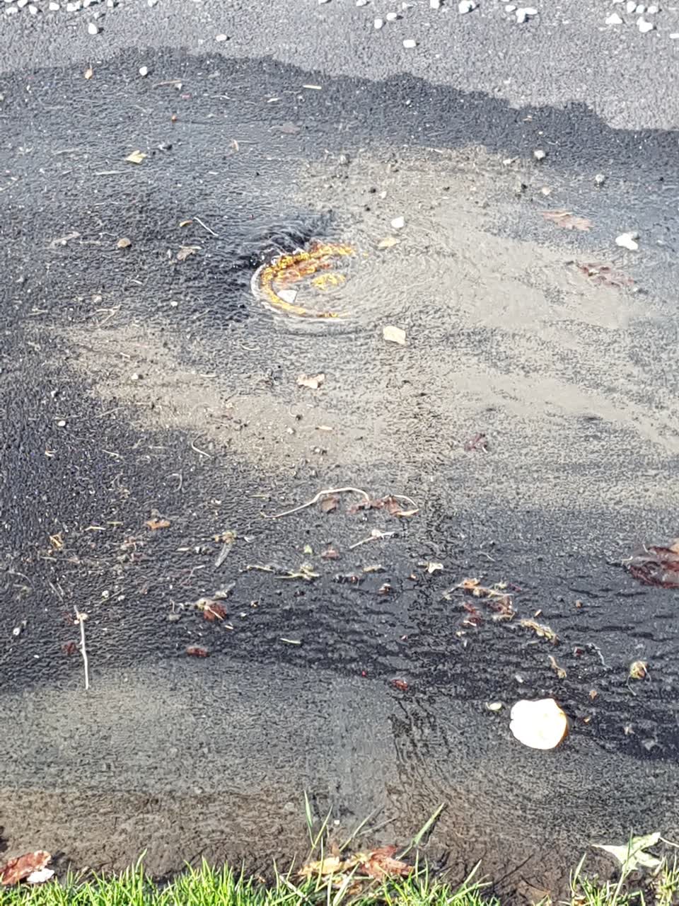 The photograph attached to this water supply report